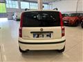 FIAT PANDA VAN 1.2 Van Active 2 posti