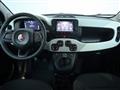 FIAT PANDA 1.0 FireFly S&S Hybrid Pandina