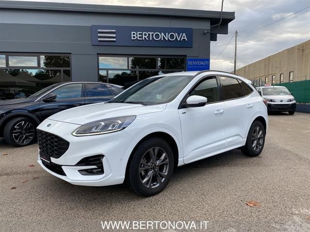 FORD KUGA 2.0 EcoBlue 120CV aut. AWD ST-Line X