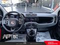 FIAT PANDA 1.2 Lounge 69cv