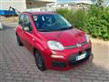 FIAT PANDA 1.2 K-Way