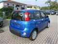 FIAT PANDA 1.0 FireFly S&S Hybrid Pandina