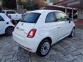 FIAT 500 1000 HYBRID 70 CV CARPLAY CLIMAUTO PDC TETTO